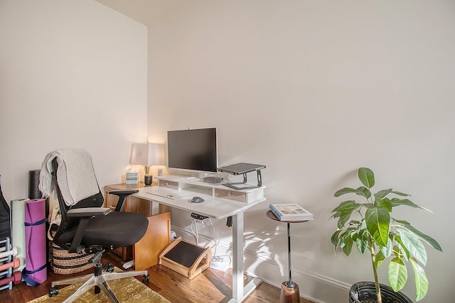 office area featuring hardwood / wood-style floors