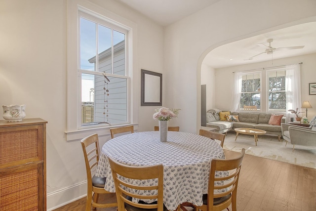 dining space featuring wood-type flooring and ceiling fan