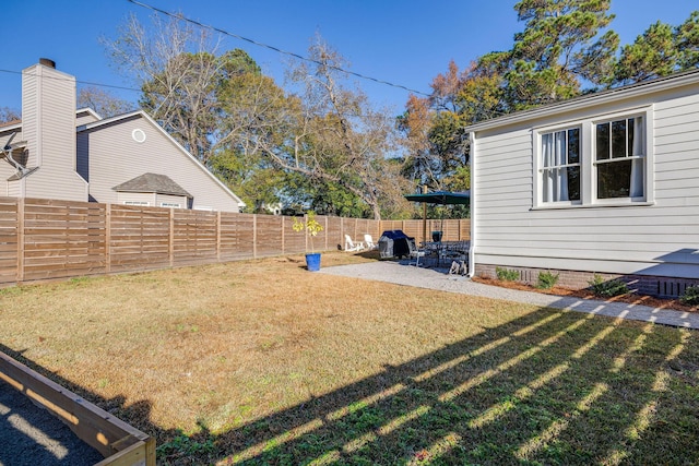 view of yard featuring a patio