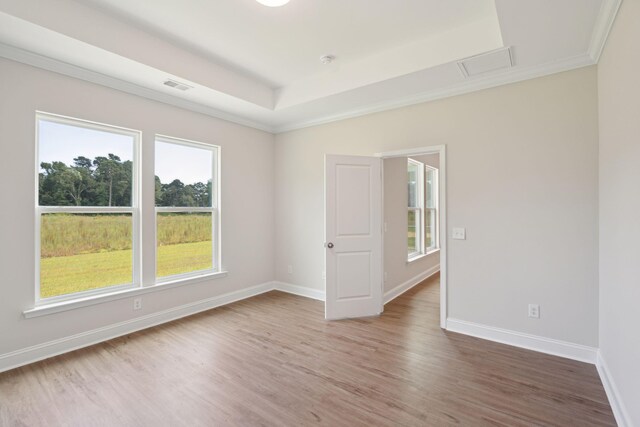 spare room with ornamental molding, wood-type flooring, and a tray ceiling