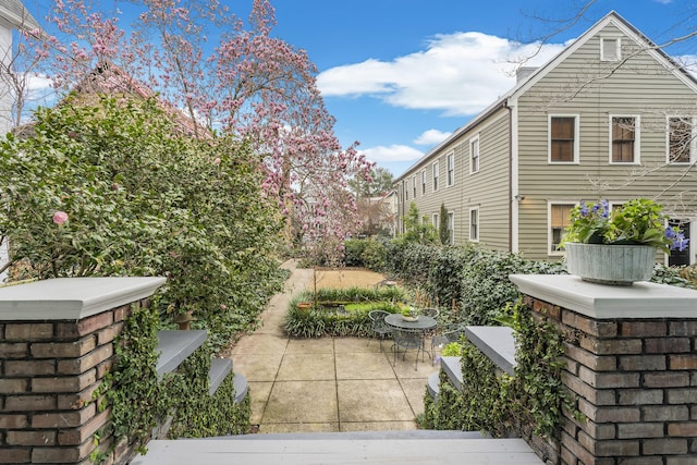 view of yard featuring a patio area