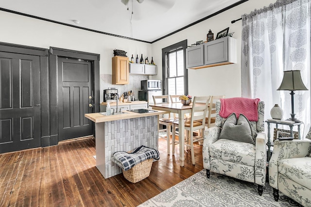 sitting room featuring ceiling fan, ornamental molding, and dark wood-type flooring