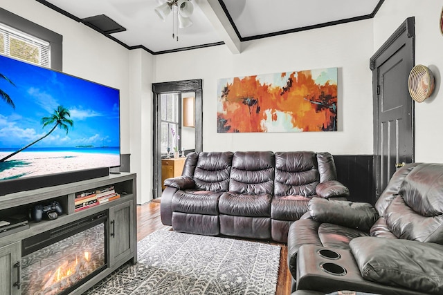 living room featuring beam ceiling, light hardwood / wood-style floors, ceiling fan, and crown molding