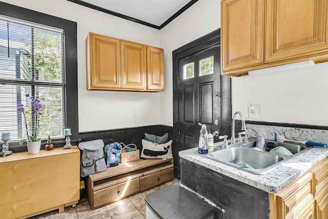 kitchen with crown molding and sink