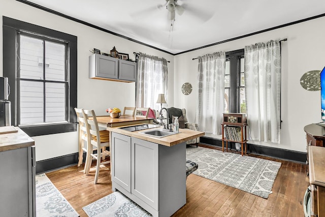 office with sink, ceiling fan, crown molding, and dark hardwood / wood-style flooring