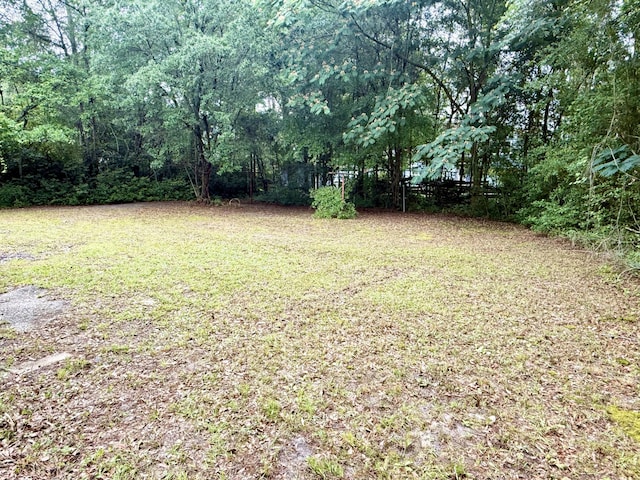 208 Orange St, Walterboro, SC 29488 - view of green lawn featuring a view of trees