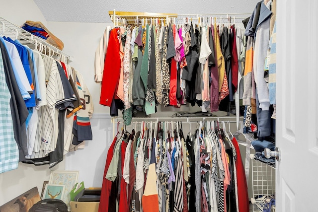 view of spacious closet