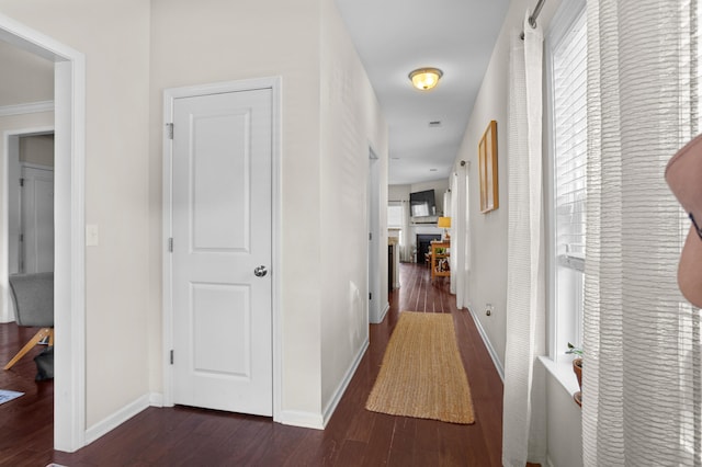 1821 Towne St, Johns Island, SC 29455 - hall featuring dark wood-style flooring and baseboards