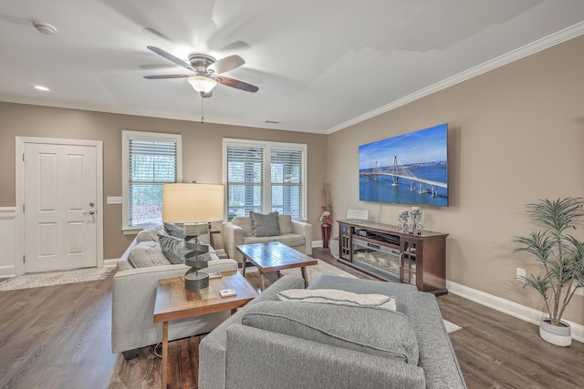 living room with dark hardwood / wood-style flooring, ceiling fan, and ornamental molding