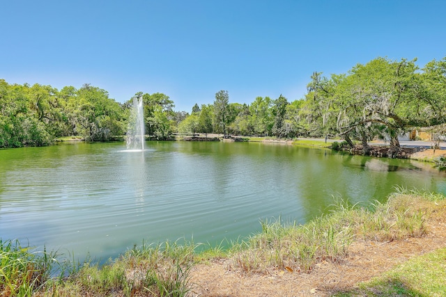 view of water feature