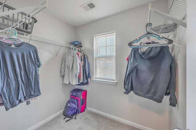 spacious closet featuring carpet floors