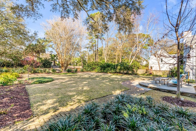 view of yard with a patio