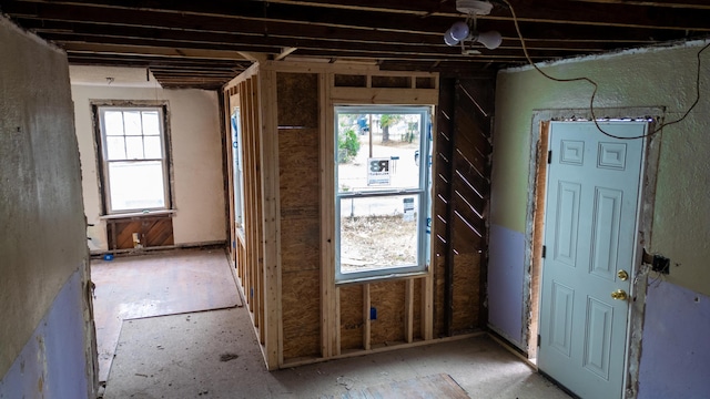 foyer featuring a wealth of natural light