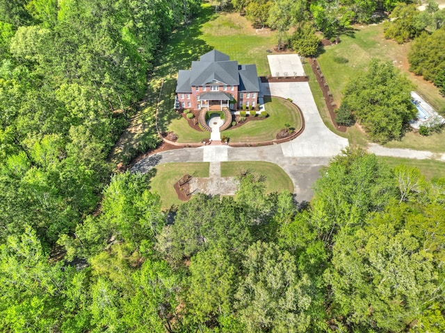 aerial view