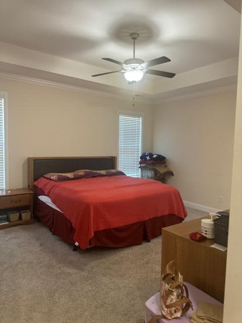 carpeted bedroom with ceiling fan, crown molding, and multiple windows