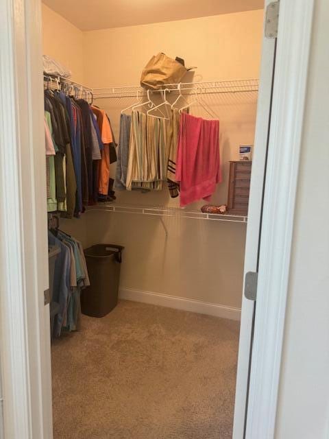 spacious closet with carpet