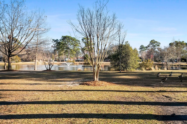 surrounding community featuring a water view and a lawn