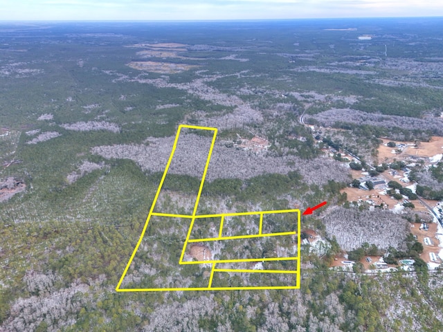 050 Gertie Ln, Cordesville SC, 29434 land for sale