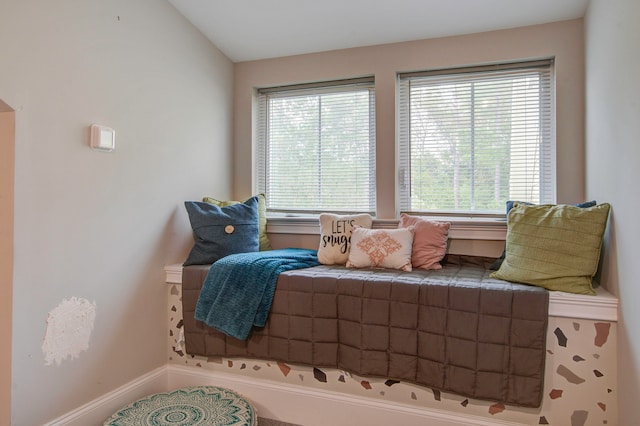 interior space with vaulted ceiling