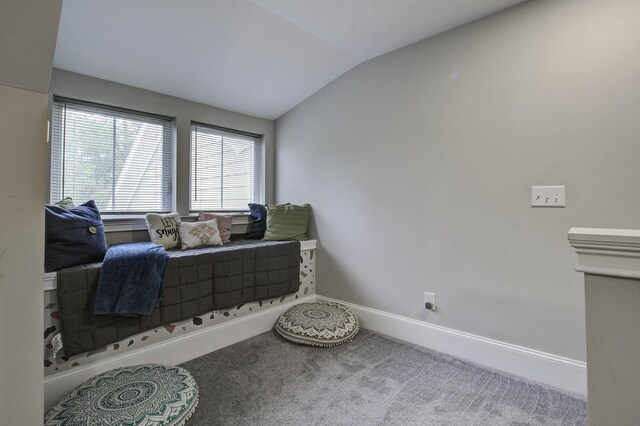 carpeted bedroom featuring vaulted ceiling and ceiling fan