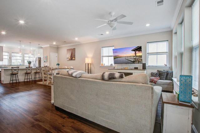 living room with ceiling fan, dark hardwood / wood-style floors, and a healthy amount of sunlight