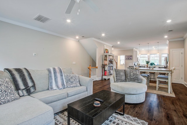 living room featuring ceiling fan, dark hardwood / wood-style floors, and crown molding