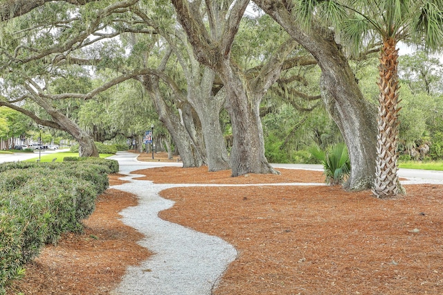 view of surrounding community