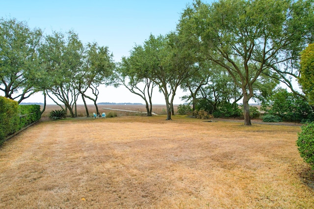 view of yard with fence and a rural view