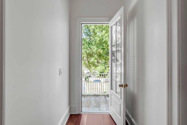 entryway featuring hardwood / wood-style flooring