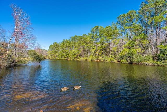 property view of water featuring a forest view