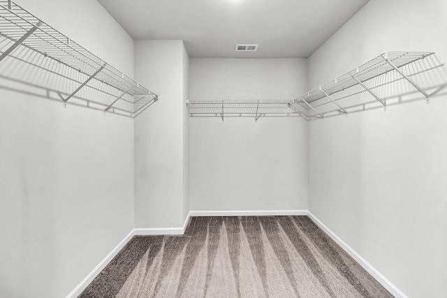 walk in closet featuring carpet flooring