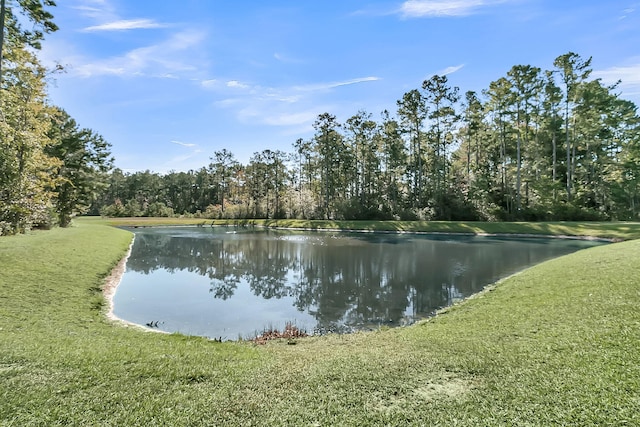 view of water feature