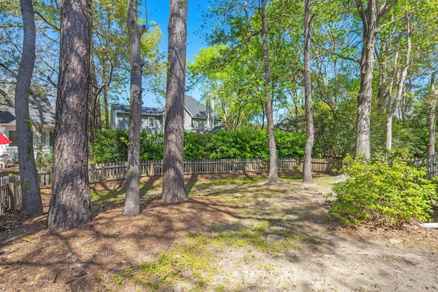 1179 Holly Bend Dr, Mount Pleasant, SC 29466 - view of yard