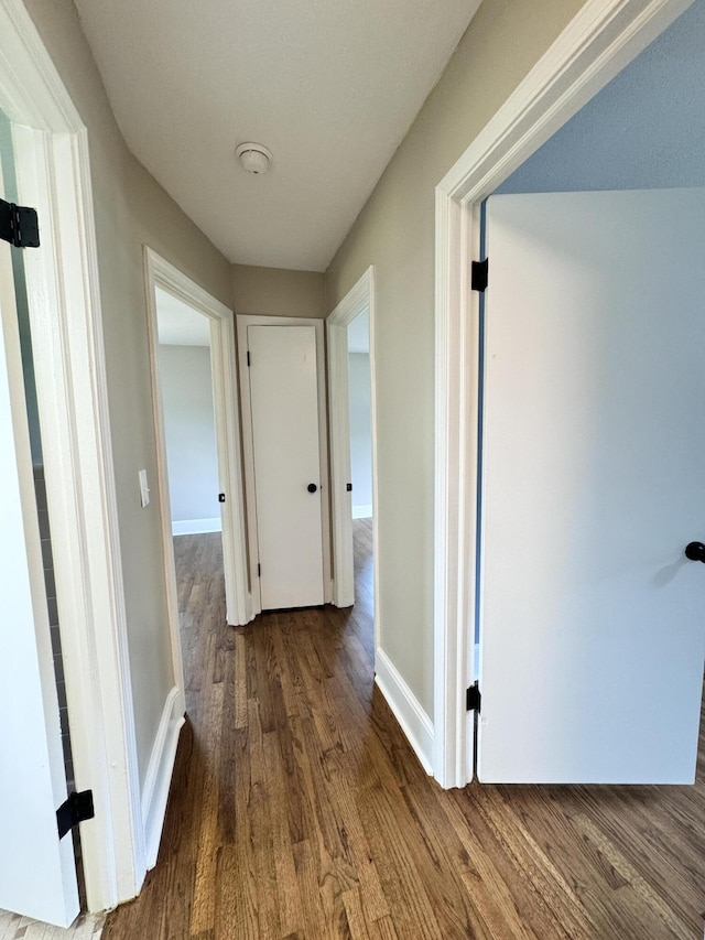 corridor featuring dark hardwood / wood-style floors