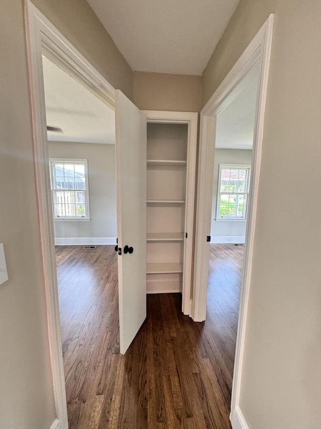 corridor with a healthy amount of sunlight, dark hardwood / wood-style flooring, and built in features