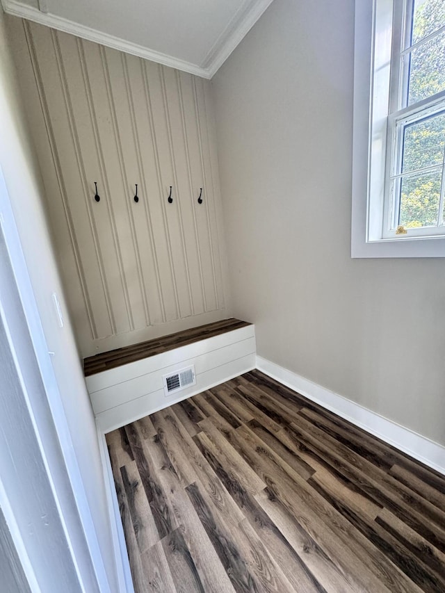 mudroom featuring crown molding and wood-type flooring