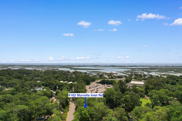 4162 Murrells Inlet Rd, Murrells Inlet, SC 29576 - bird's eye view of a large body of water