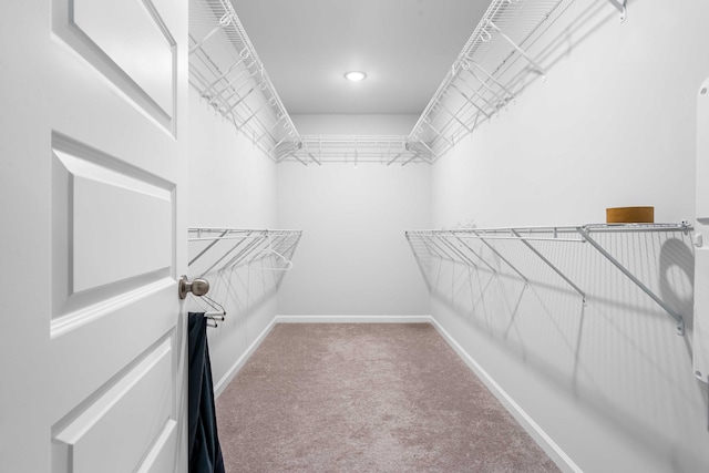 spacious closet featuring carpet floors