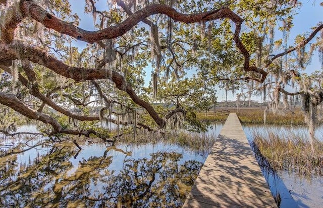 dock area featuring a water view