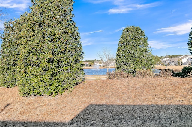 view of yard featuring a water view