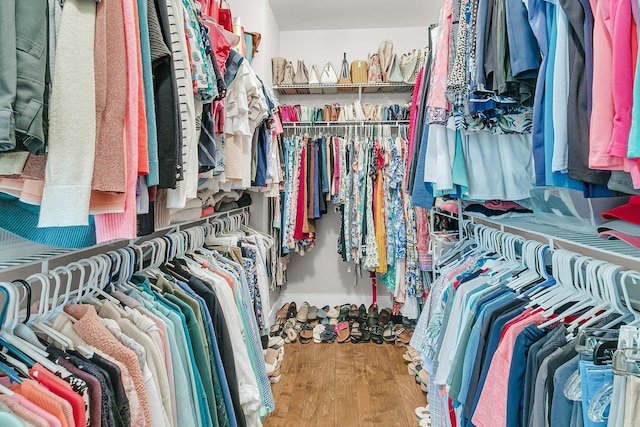 spacious closet featuring wood-type flooring