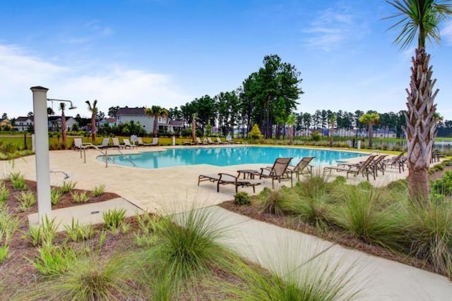 view of swimming pool with a patio area