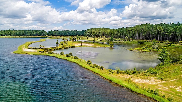 property view of water