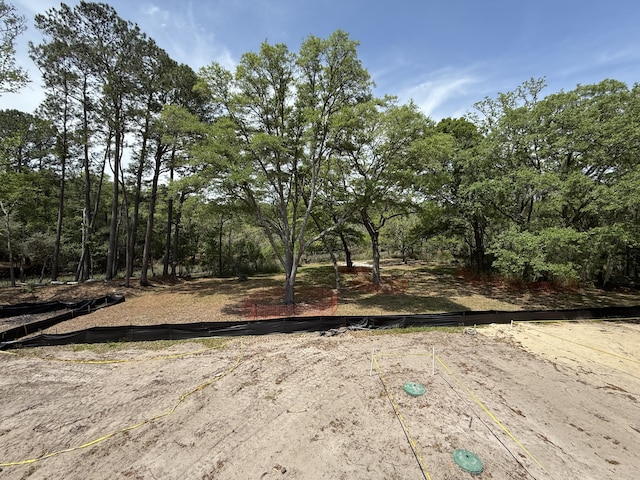 2790 Burden Creek Rd, Johns Island, SC 29455 - view of yard
