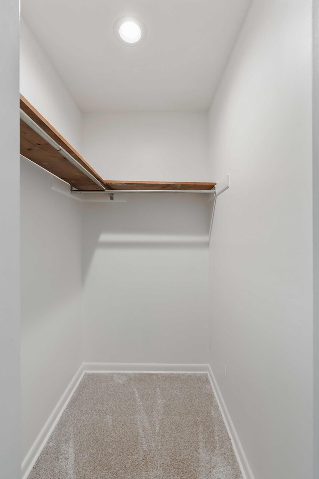 spacious closet with carpet floors