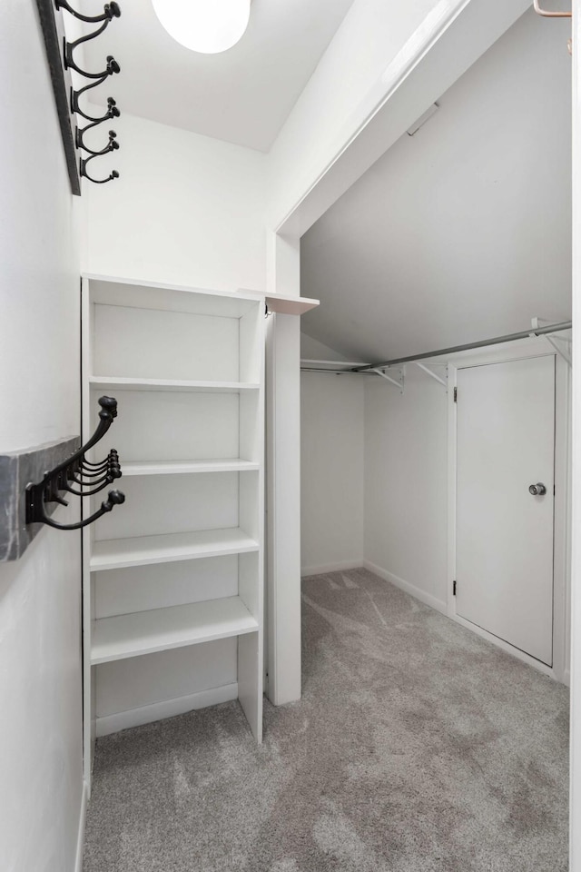 walk in closet with carpet floors