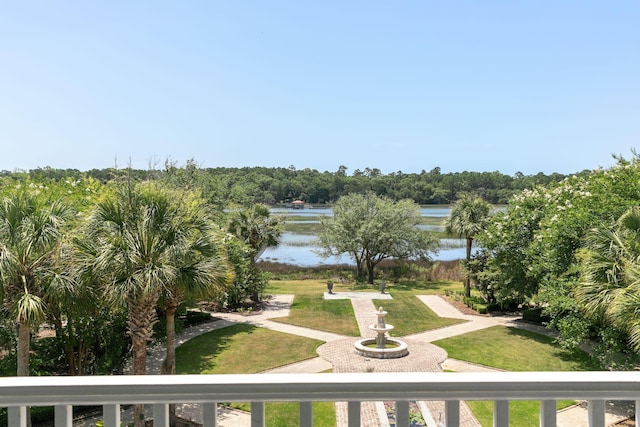 1972 Long Creek Rd, Wadmalaw Island, SC 29487 - view of property's community featuring a lawn and a water view