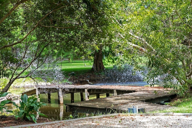 1972 Long Creek Rd, Wadmalaw Island, SC 29487 - view of community featuring a boat dock