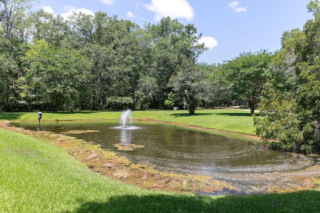 1972 Long Creek Rd, Wadmalaw Island, SC 29487 - view of property's community with a water view and a yard