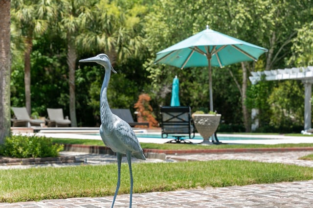 1972 Long Creek Rd, Wadmalaw Island, SC 29487 - view of property's community featuring a lawn